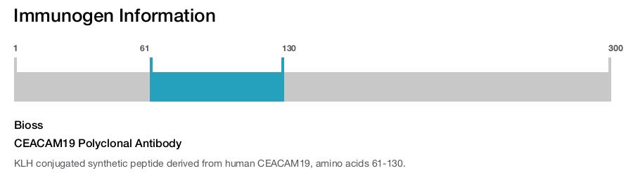 CEACAM19 Polyclonal Antibody