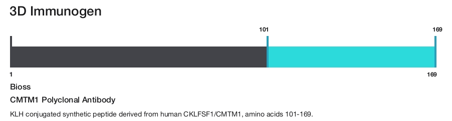 CMTM1 Polyclonal Antibody