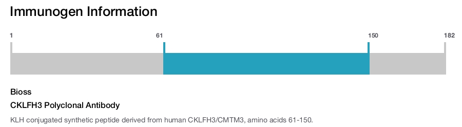 CKLFH3 Polyclonal Antibody