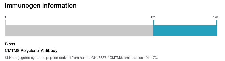 CMTM8 Polyclonal Antibody