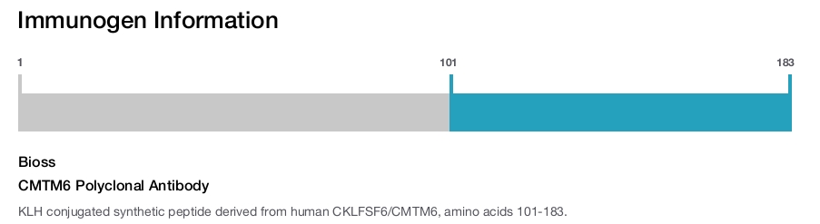 CMTM6 Polyclonal Antibody