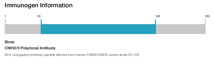 CNIH2/3 Polyclonal Antibody