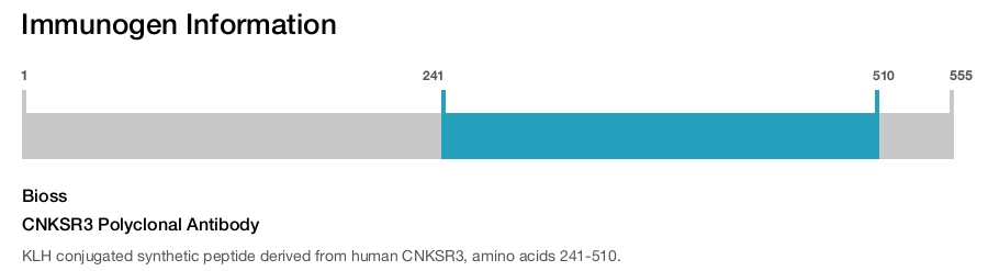 CNKSR3 Polyclonal Antibody