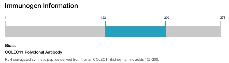 COLEC11 Polyclonal Antibody