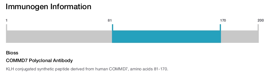 COMMD7 Polyclonal Antibody