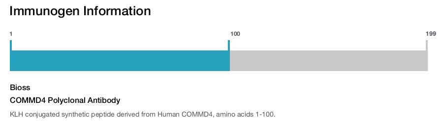 COMMD4 Polyclonal Antibody