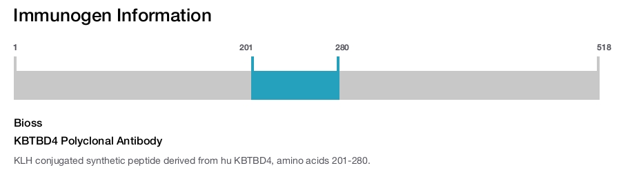KBTBD4 Polyclonal Antibody