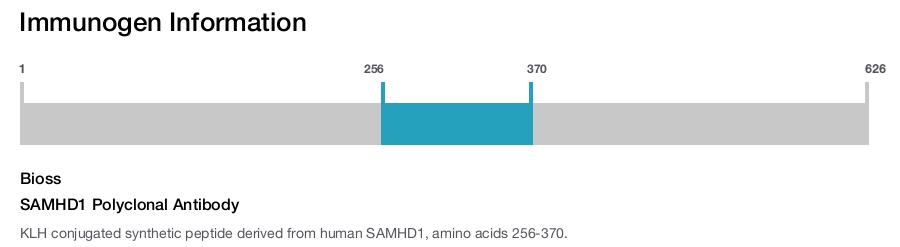 SAMHD1 Polyclonal Antibody