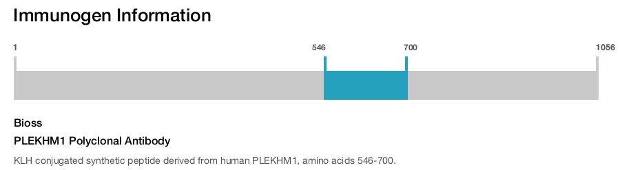 PLEKHM1 Polyclonal Antibody