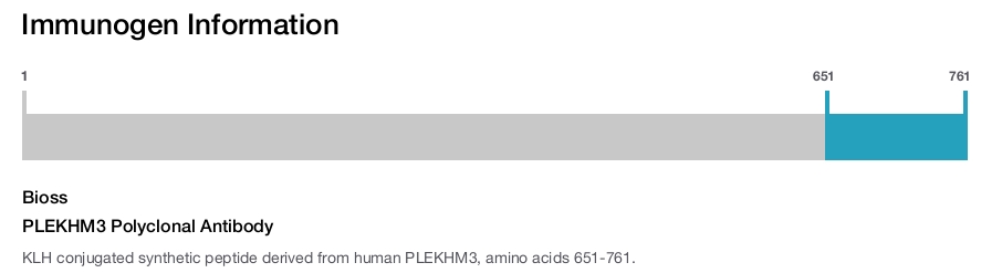PLEKHM3 Polyclonal Antibody