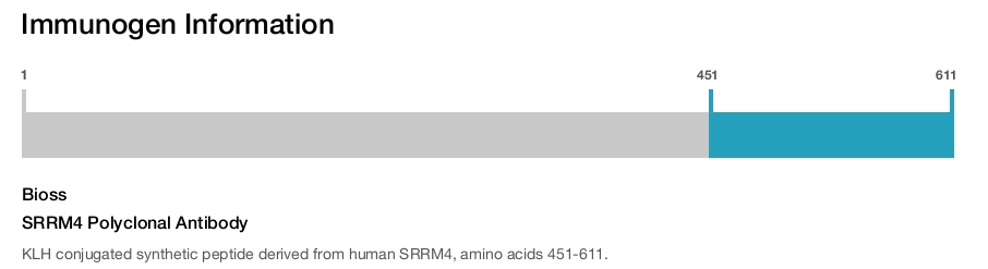 SRRM4 Polyclonal Antibody