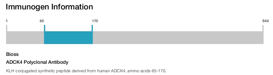 ADCK4 Polyclonal Antibody
