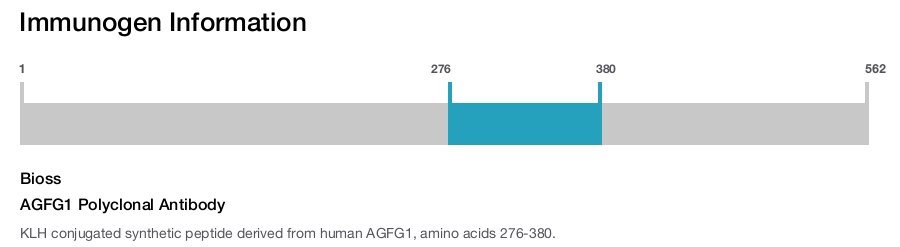 AGFG1 Polyclonal Antibody