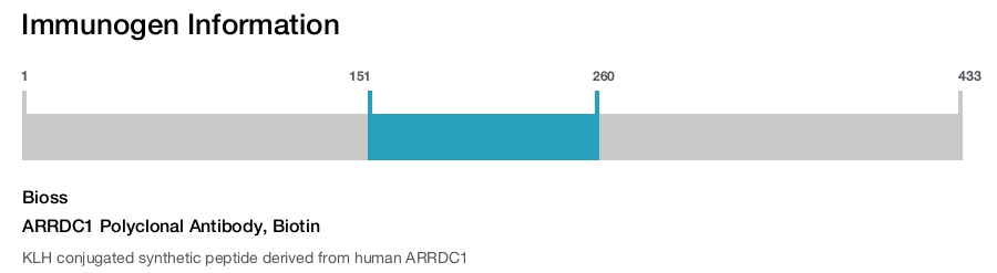 ARRDC1 Polyclonal Antibody, Biotin