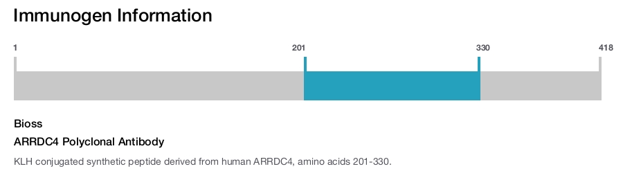 ARRDC4 Polyclonal Antibody