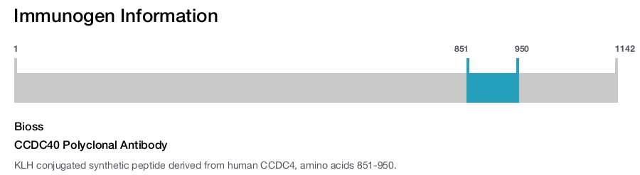 CCDC40 Polyclonal Antibody