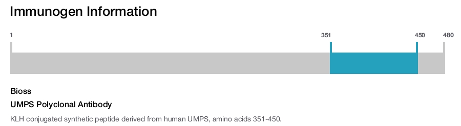 UMPS Polyclonal Antibody