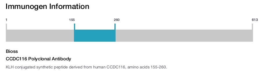 CCDC116 Polyclonal Antibody