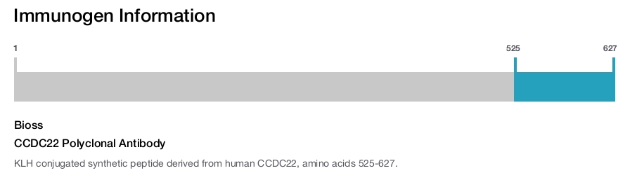 CCDC22 Polyclonal Antibody
