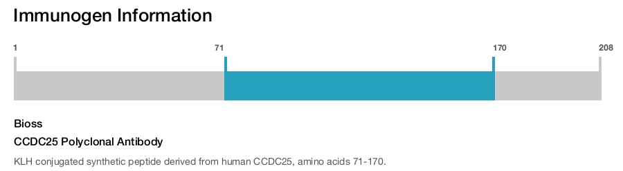 CCDC25 Polyclonal Antibody