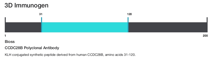 CCDC28B Polyclonal Antibody