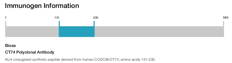CT74 Polyclonal Antibody