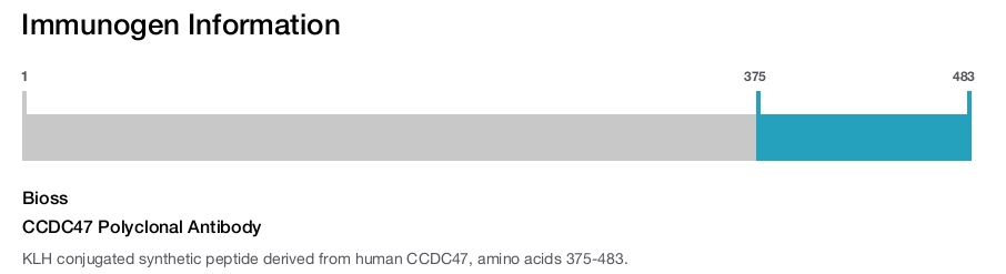 CCDC47 Polyclonal Antibody