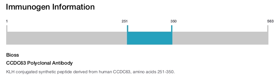 CCDC63 Polyclonal Antibody