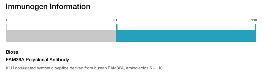 FAM36A Polyclonal Antibody