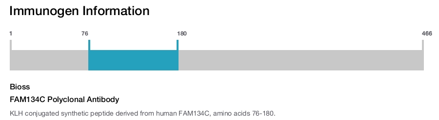 FAM134C Polyclonal Antibody