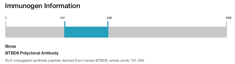 BTBD6 Polyclonal Antibody