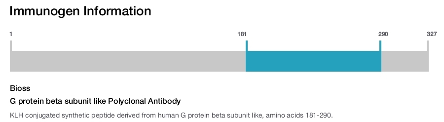 G protein beta subunit like Polyclonal Antibody