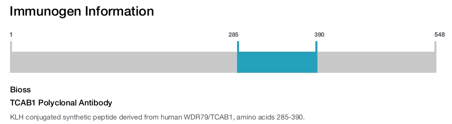 TCAB1 Polyclonal Antibody