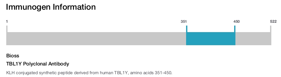 TBL1Y Polyclonal Antibody