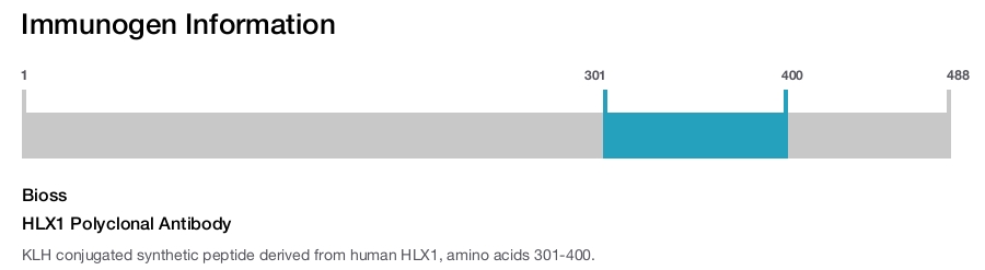 HLX1 Polyclonal Antibody