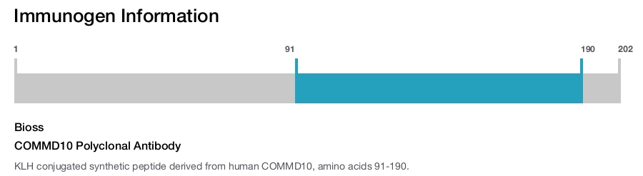 COMMD10 Polyclonal Antibody