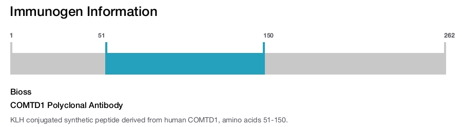 COMTD1 Polyclonal Antibody