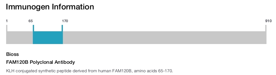 FAM120B Polyclonal Antibody