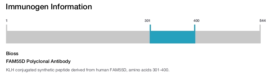 FAM55D Polyclonal Antibody