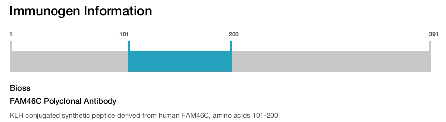 FAM46C Polyclonal Antibody