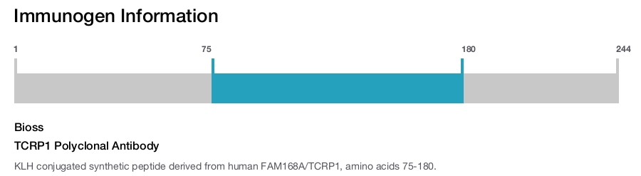 TCRP1 Polyclonal Antibody