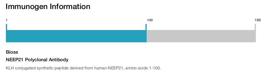 NEEP21 Polyclonal Antibody