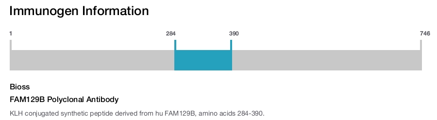 FAM129B Polyclonal Antibody