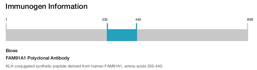 FAM91A1 Polyclonal Antibody