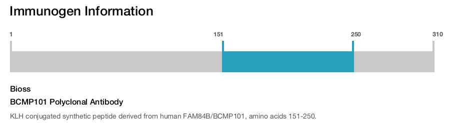 BCMP101 Polyclonal Antibody