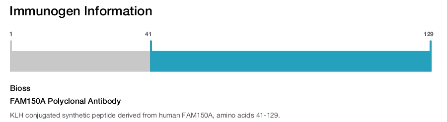 FAM150A Polyclonal Antibody