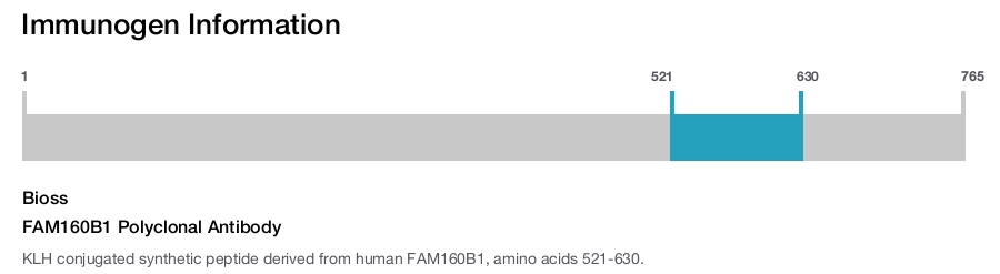 FAM160B1 Polyclonal Antibody
