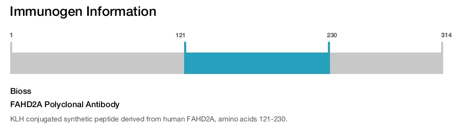 FAHD2A Polyclonal Antibody