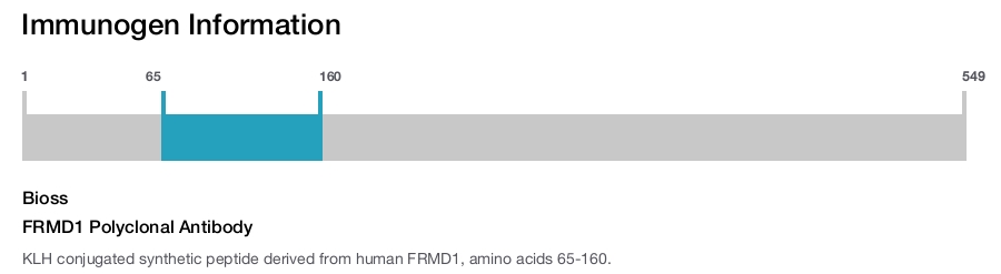 FRMD1 Polyclonal Antibody