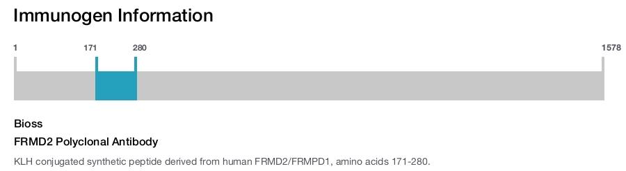 FRMD2 Polyclonal Antibody